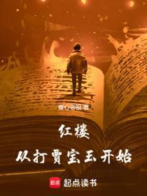 红楼开局和贾宝玉抢