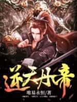 逆天丹帝TXT电子书